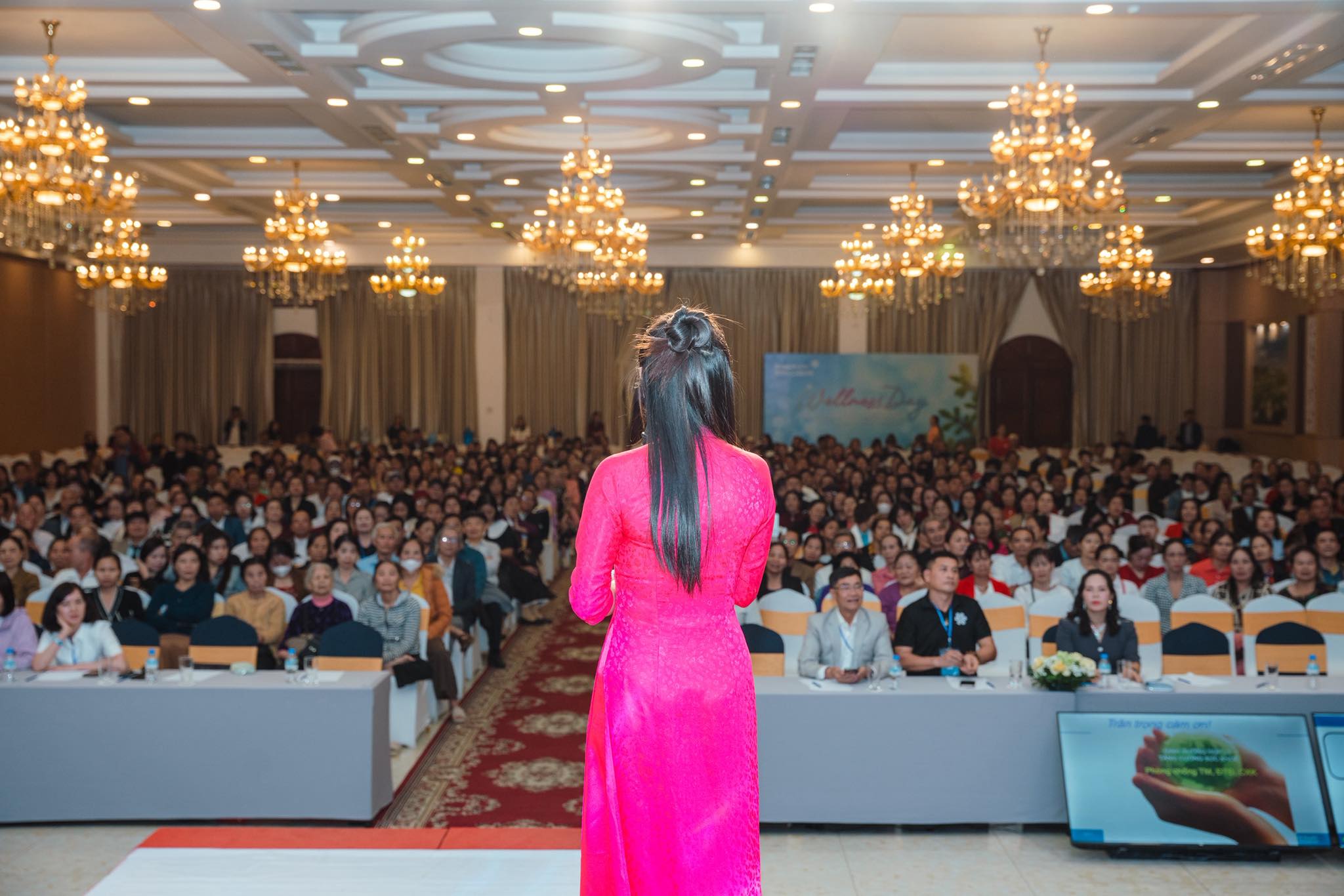 Vi Hương Mai trên sân khấu